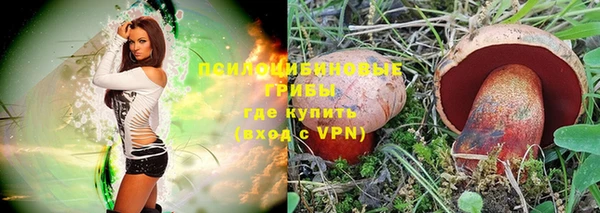 ешки Елабуга