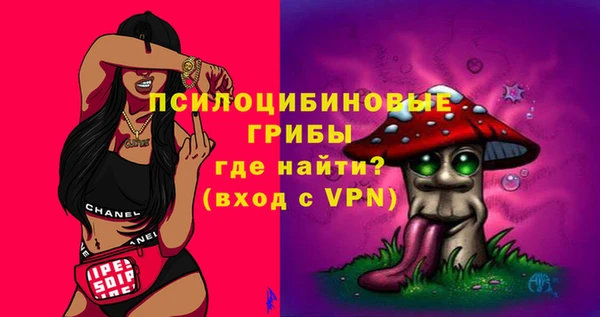 молекула духа Дмитриев