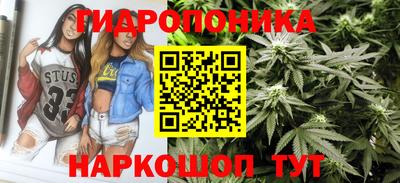мяу мяу мука Чапаевск