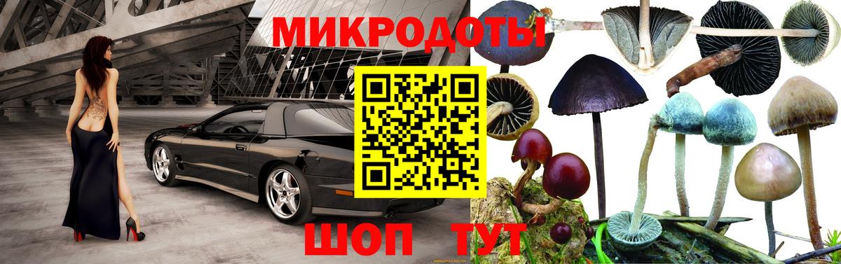 Псилоцибиновые грибы мицелий  Вход с VPN  Заринск 